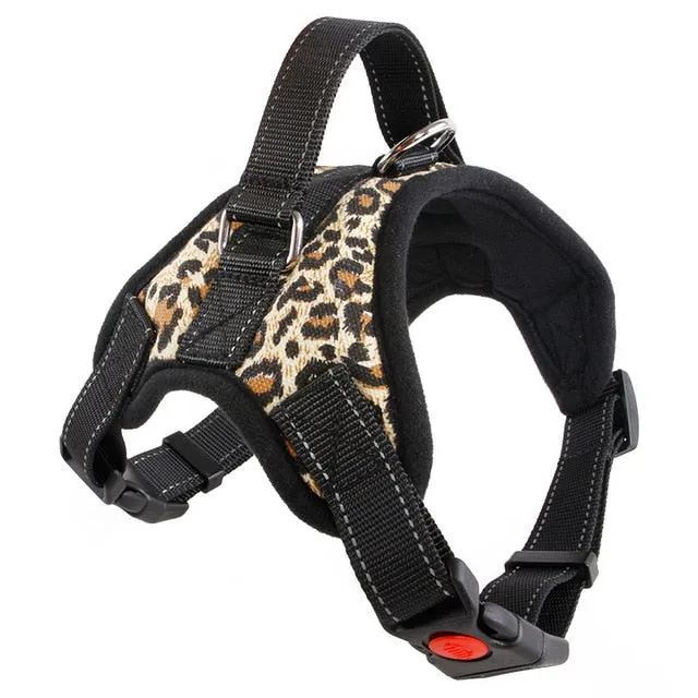 Durable Harness (No Pull)