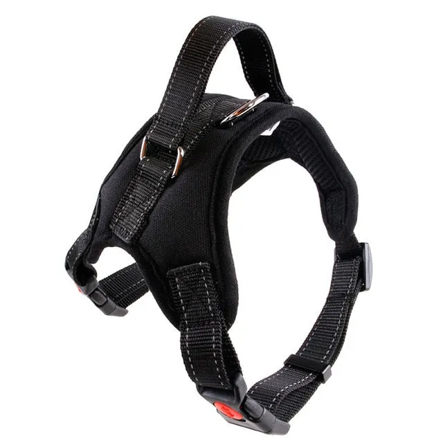 Durable Harness (No Pull)