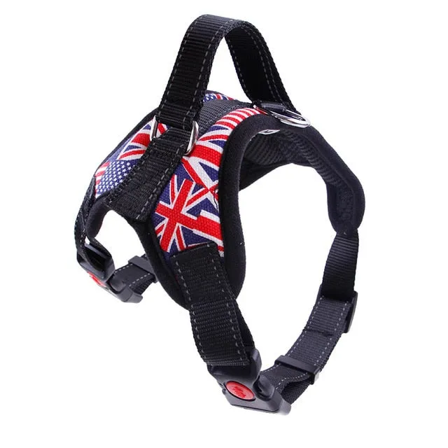 Durable Harness (No Pull)