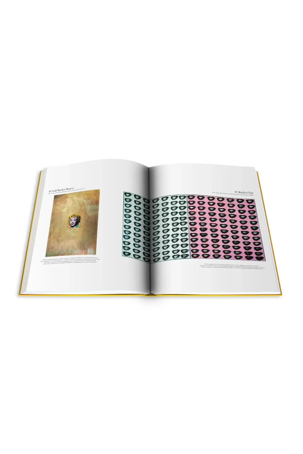 Handcrafted Limited Edition Coffee Table Book | Assouline Andy Warhol: The Impossible Collection